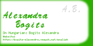 alexandra bogits business card